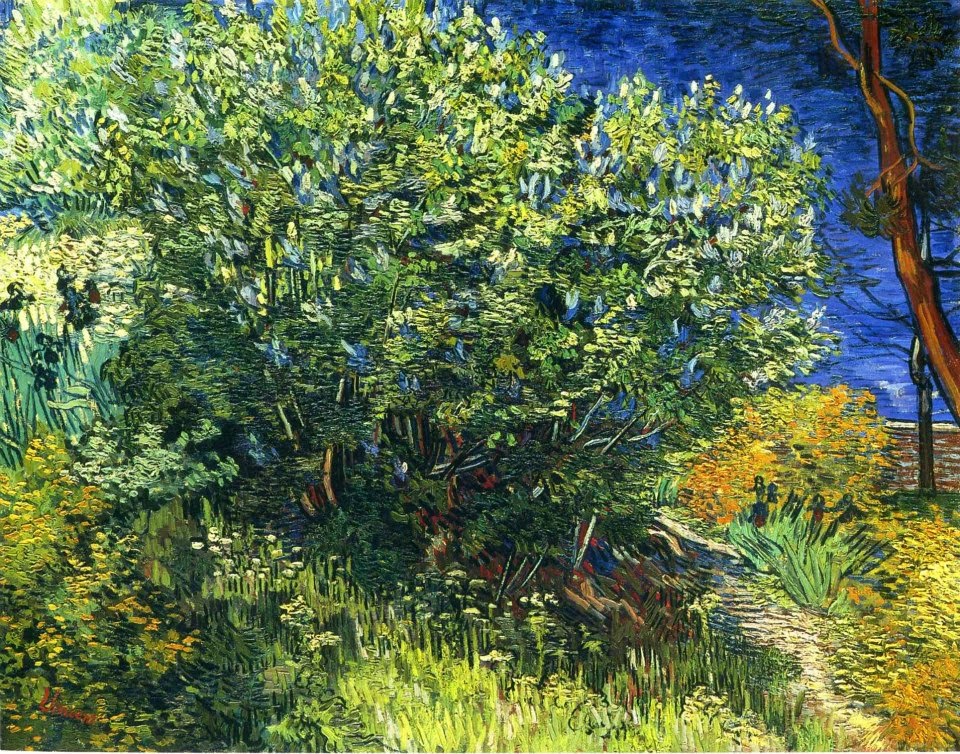 Vincent+Van+Gogh-1853-1890 (643).jpg